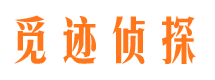 裕安市侦探调查公司